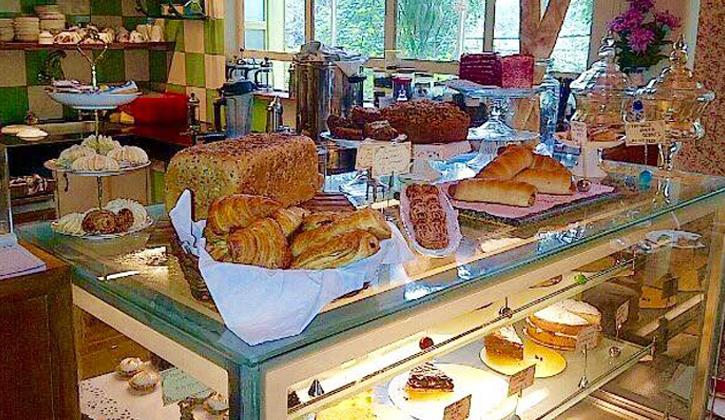 Elma’s Bakery