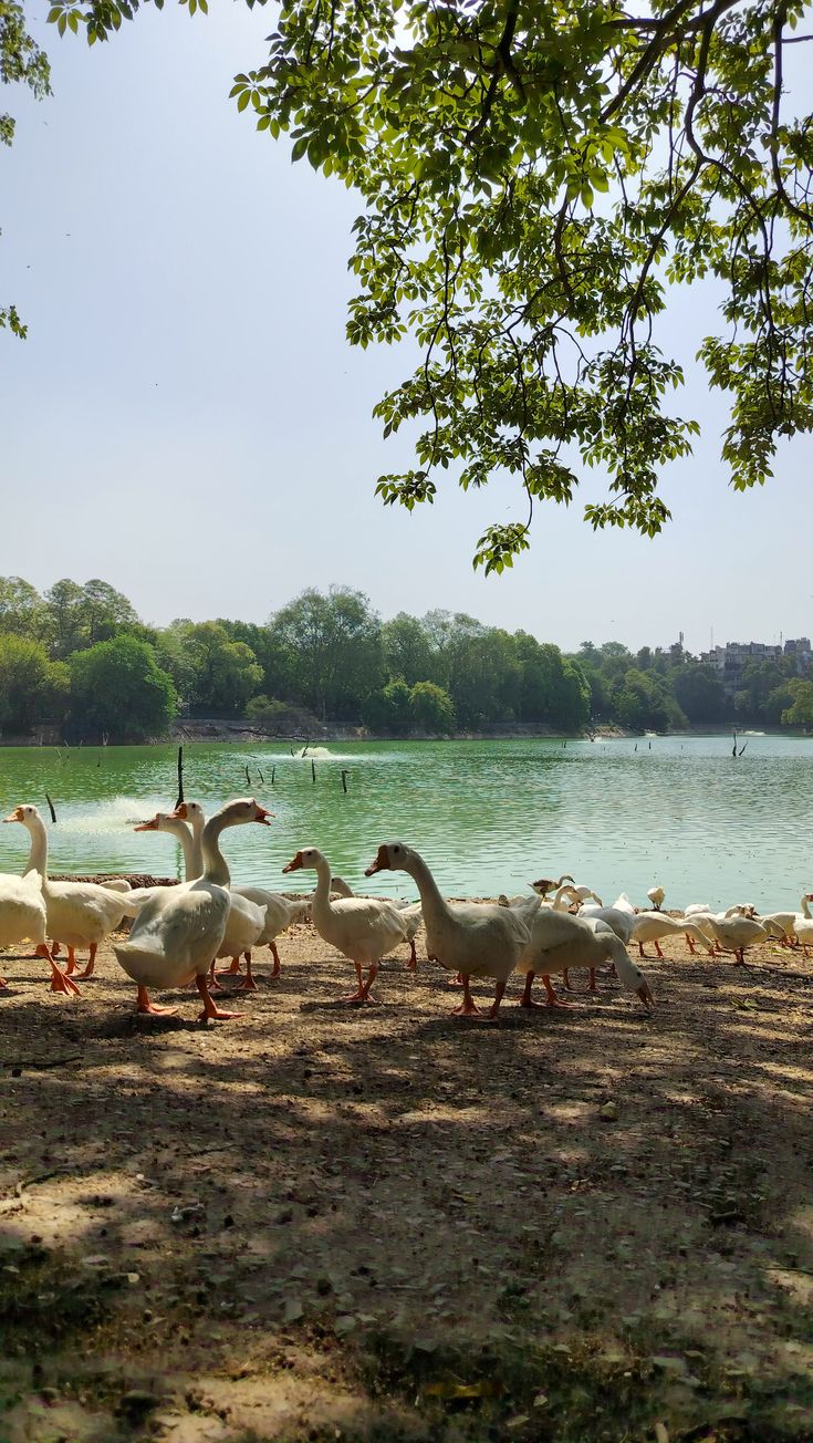 Hauz Khas 3