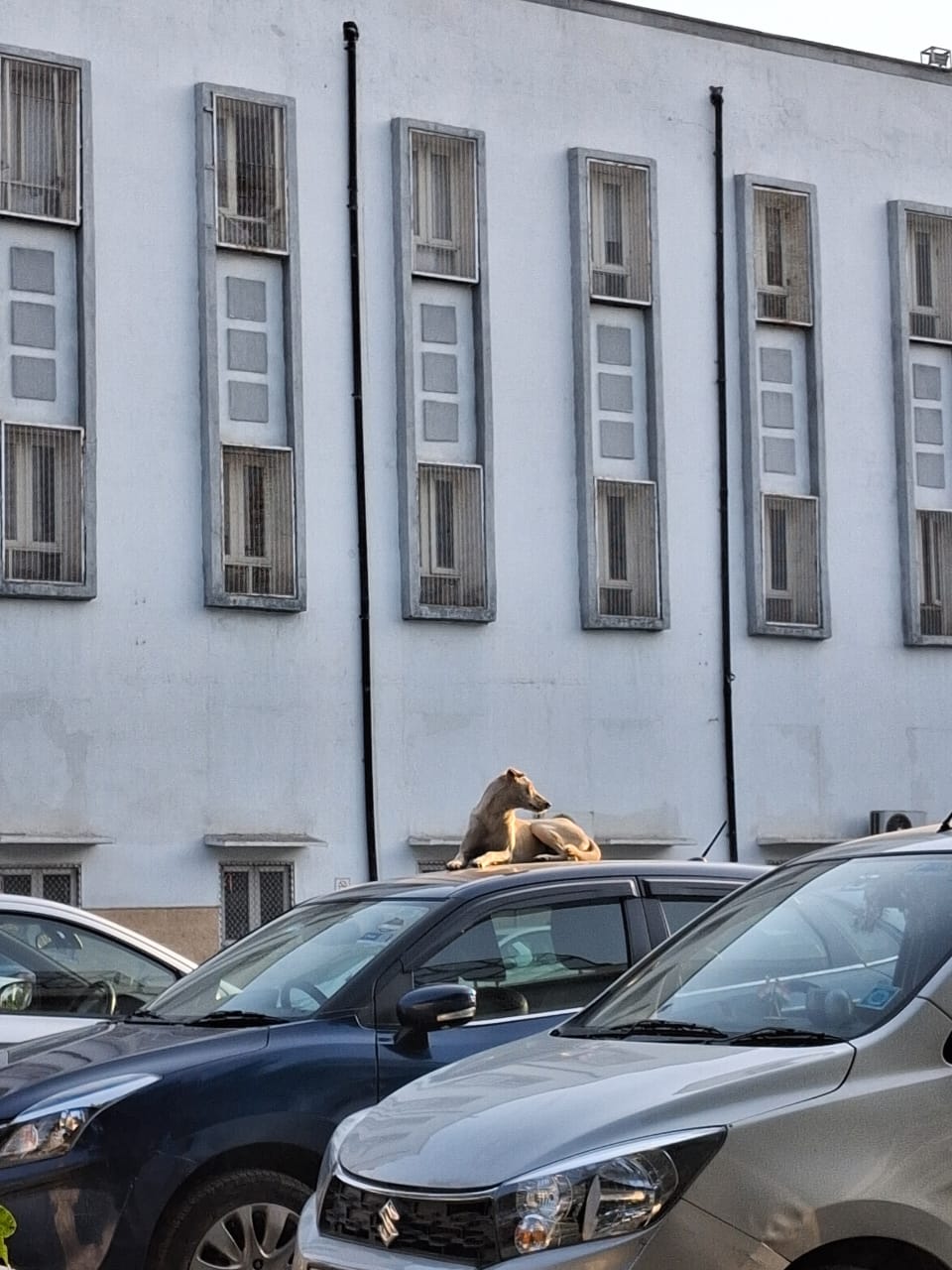 Campus 14