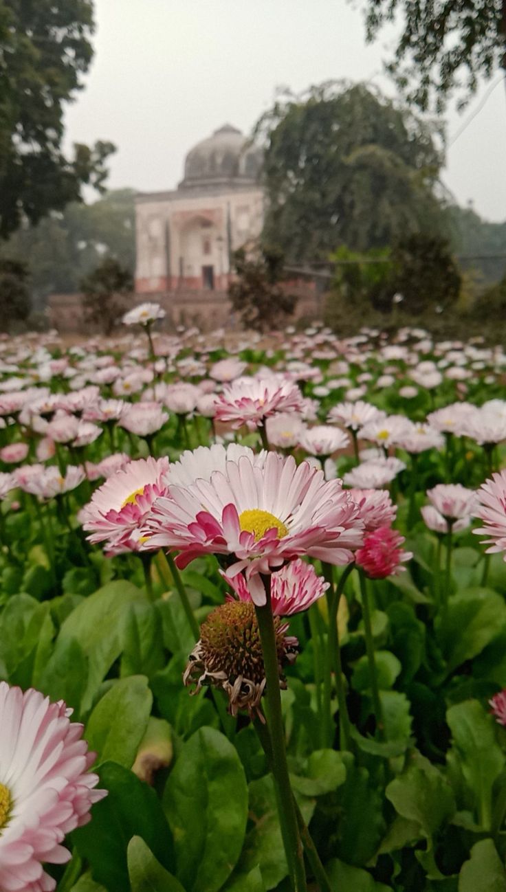 Sunder Nursery Monuments